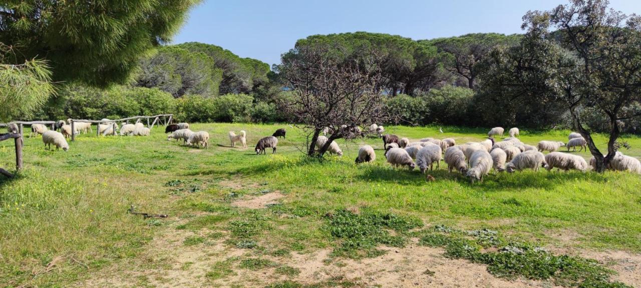 Dolce Casa Baia Sant'Anna - Budoni Kültér fotó